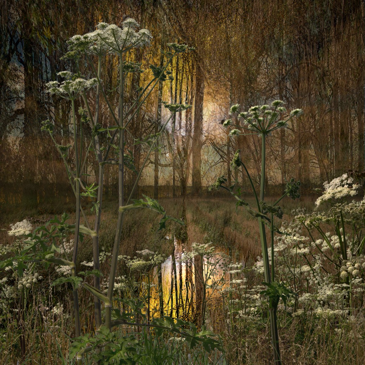 SaskiaBoelsums's tweet image. My work is on show in London until May 11! Art Fair London, Lower Fairground Site-Hampstead Heath, Stand No. L2, Ronen Art Gallery