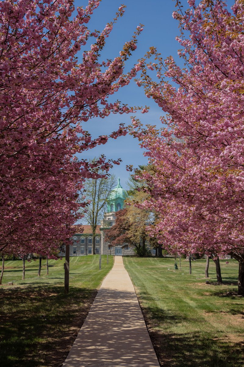 Immaculata University celebrates Pope Leo XIV. As he steps into his role as the new Holy Father, we pray that his leadership brings peace, unity, and renewed faith to our global community.