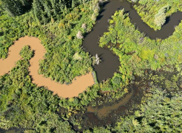 LonggAgo's tweet image. This drone photo was taken during a heavy rainstorm. A beaver dam is blocking dirty water.