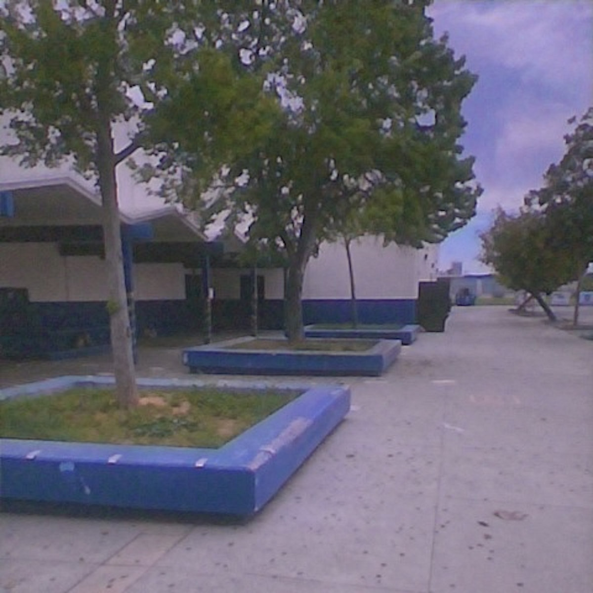 SCHØØL estrenó el video "Gardener" adelanto de su álbum debut "I Think My Life Has Been OK", que se lanzará el 5 de septiembre a través de <a href="/geographierecs/">Géographie</a>  
#dreampop #shoegaze

Puedes verlo en nuestro blog
revistathe13th.blogspot.com/2025/05/video-…