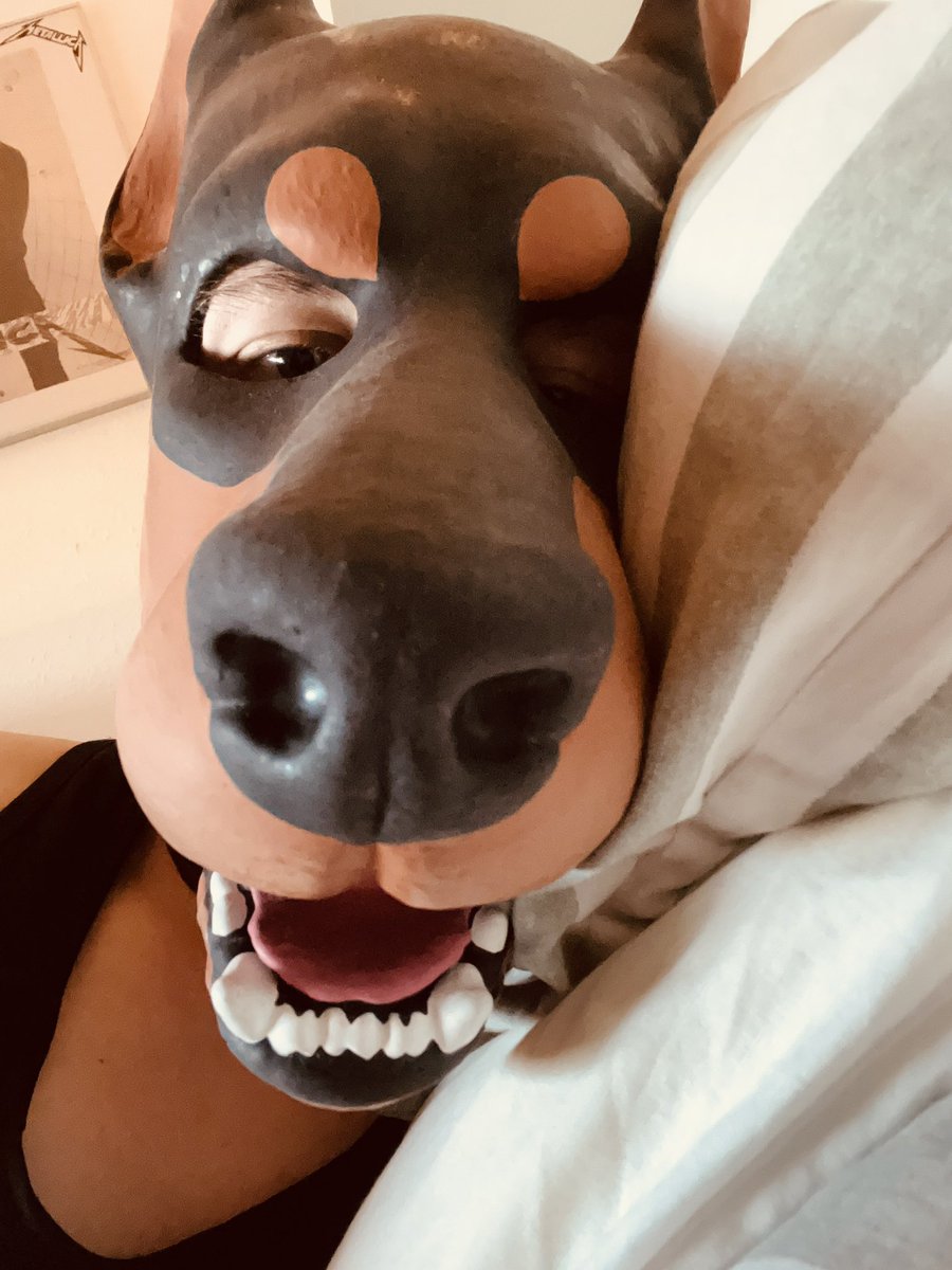 Sniff sniff🧡🖤