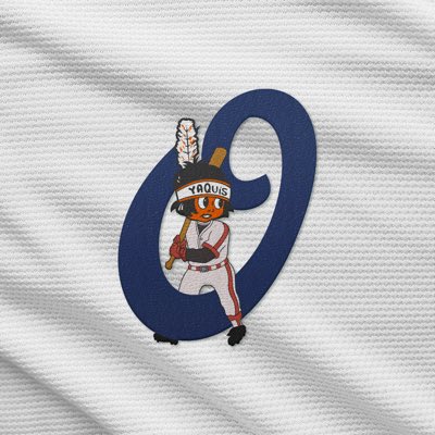 yaquis_oficial's tweet photo. #NuevaFotoDePerfil https://t.co/0ghS7255do