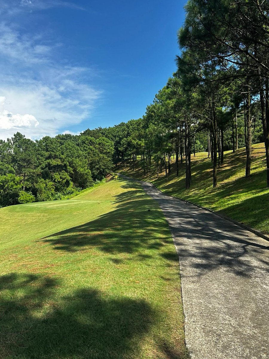 Some paths don’t need a destination  just sunshine, shadows, and silence. 🌲🌤️ #MindfulMoments #SimpleJoys