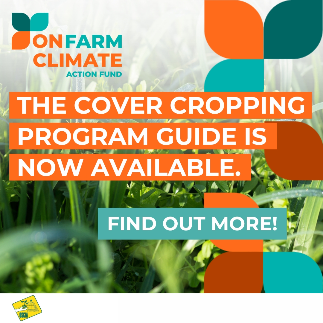 Have a Cover Cropping project to start on new acres OR at a new point in the rotation? 

A new cost-share funding intake opens at 9 am on May 22—and closes when all funds are allocated.

See the #OFCAF cover cropping program guide on ontariosoilcrop.org

#OntAg