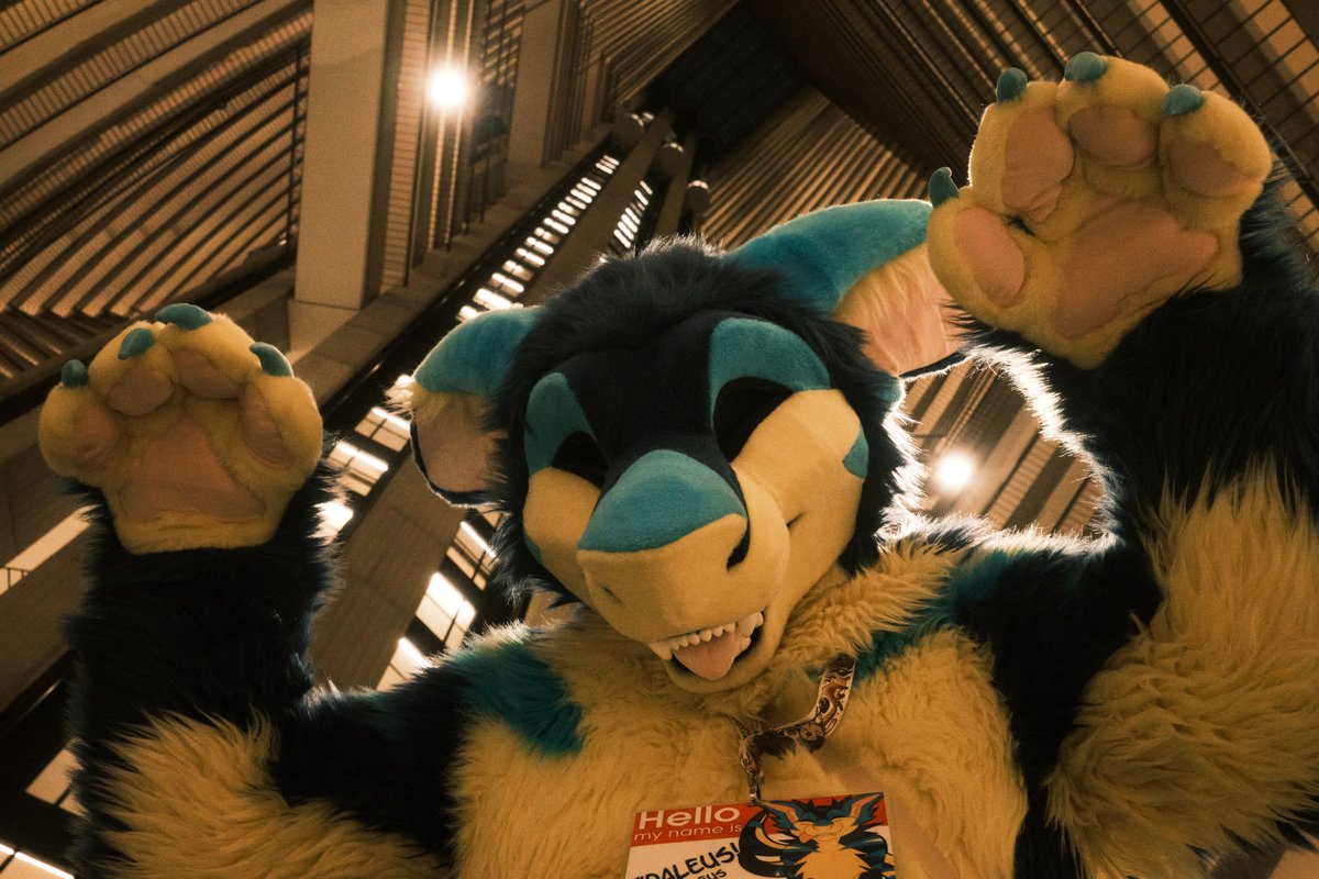 FWA Day 0!

Come say hi if you see me! Should be suiting at the Aquarium event tonight!