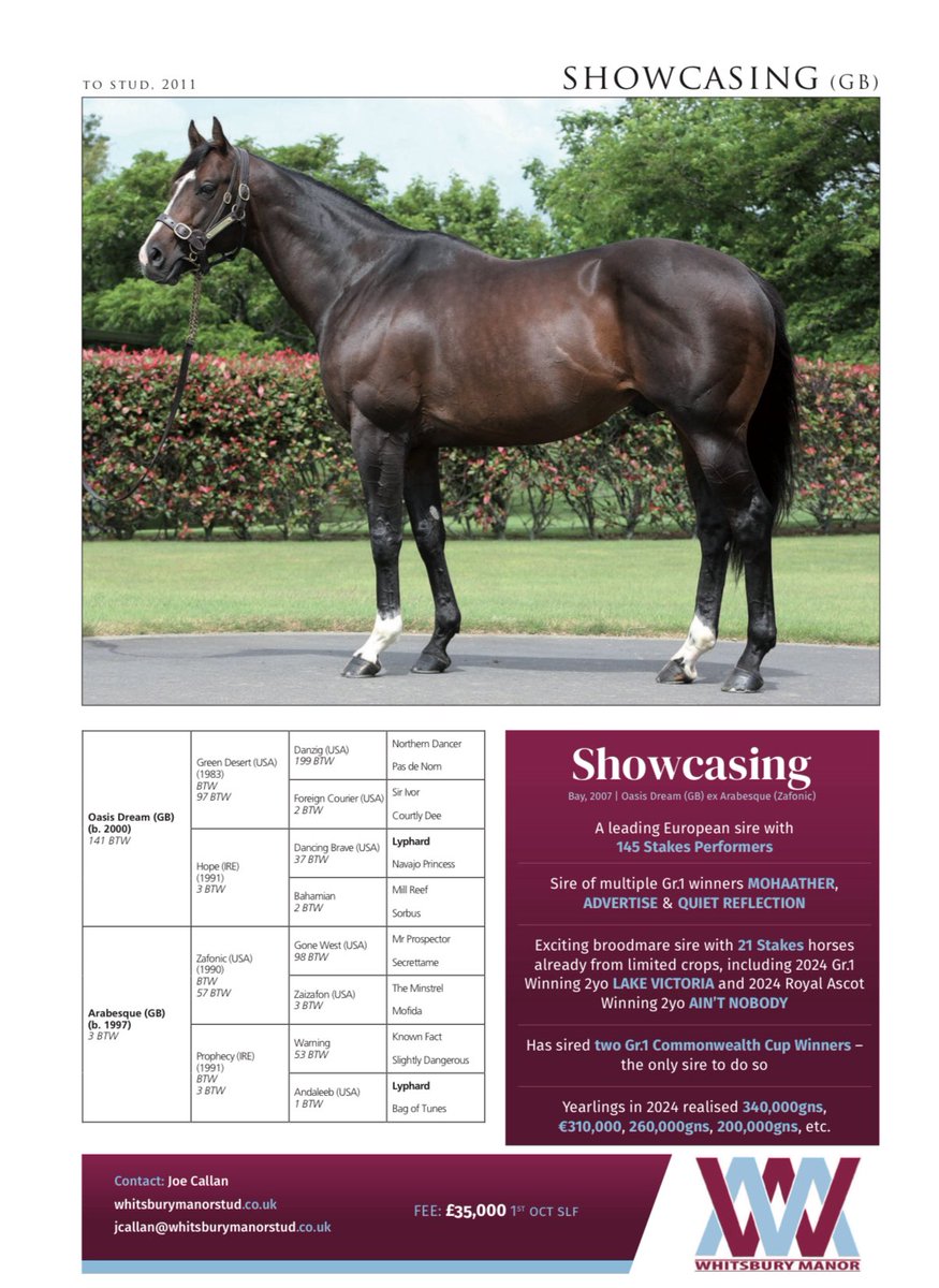 Great British Bonus tweet media