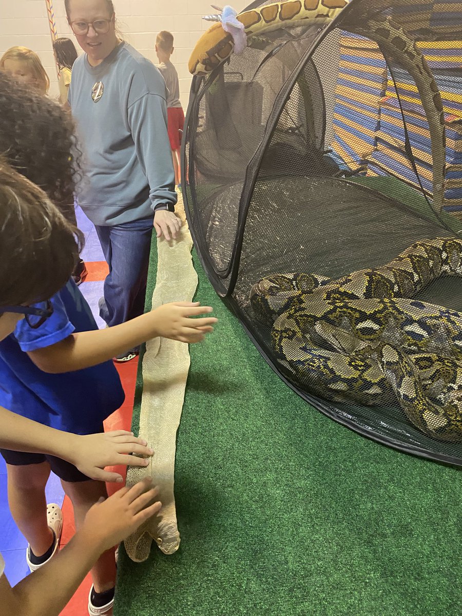STEMTania's tweet image. The students @NicholsonEleme2 had a scaly good time today learning all about reptiles from @ScalyAdventures ! This is always a favorite in-school field trip! 🐍 🦎 #STEMCobb @DrAdamCasey