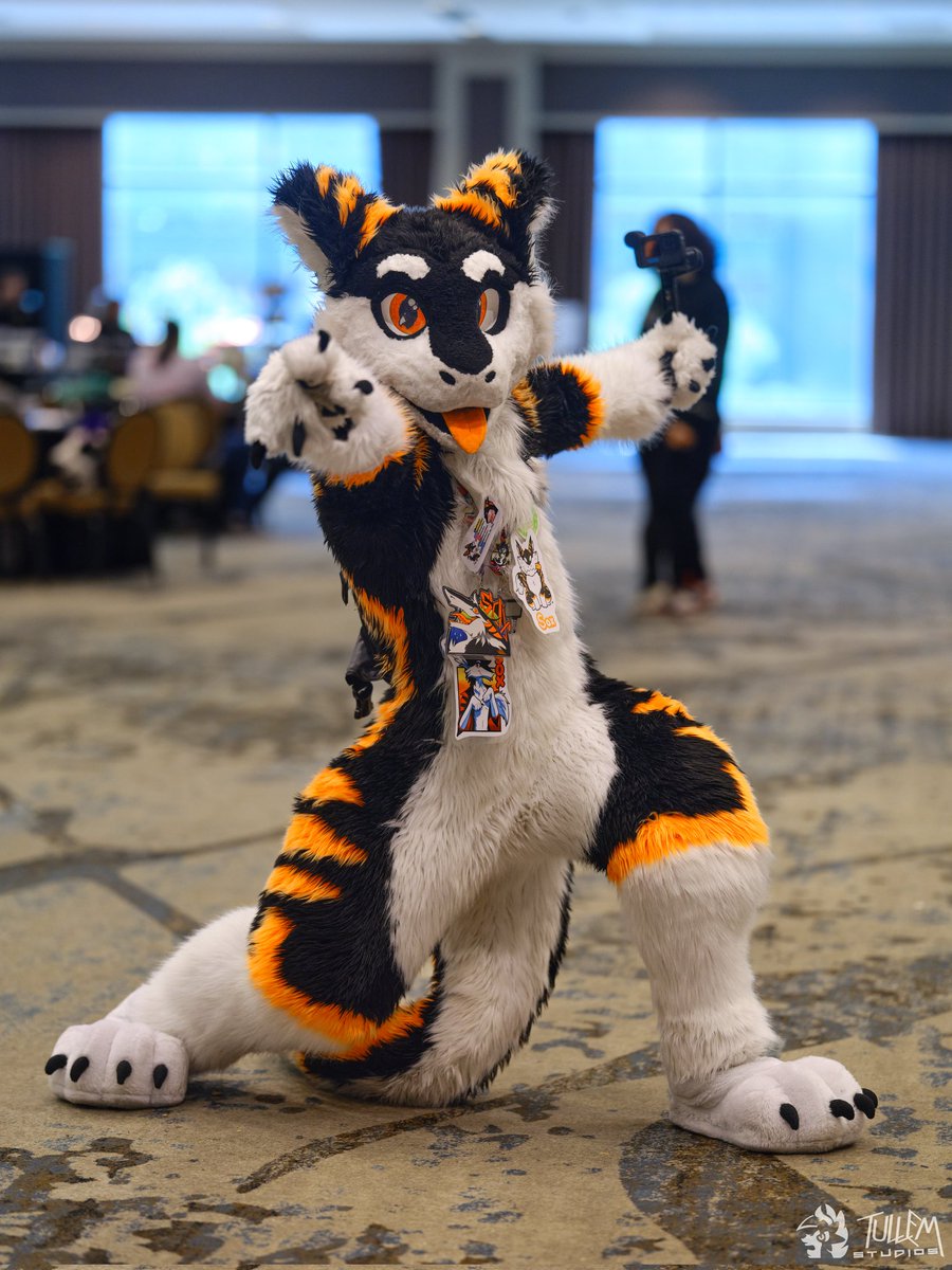 Sox (@silysox) on Twitter photo How to find me at <a href="/FurryWeekend/">Furry Weekend Atlanta | May 7-10, 2026</a>! Ima be gooberin all con long! Plz say hi! :>
#FWA2025 #FWA25 #furry #fursuit
๐ท <a href="/tullembrat/">Tullem๐AC</a> How to find me at <a href="/FurryWeekend/">Furry Weekend Atlanta | May 7-10, 2026</a>! Ima be gooberin all con long! Plz say hi! :>
#FWA2025 #FWA25 #furry #fursuit
๐ท <a href="/tullembrat/">Tullem๐AC</a>