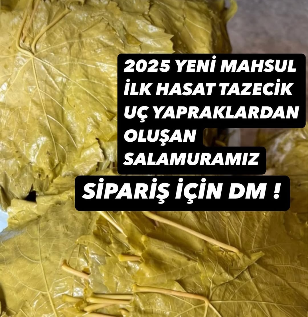 2cocukannesi1's tweet photo. Lütfen rt ederek destek olun 🙏
Mantı
Tereyagi
Zeytinyağı 
Peynir çeşitleri 
Sucuk
Yaprak 
Zeytin
Bal
Sipariş etmek için dm den yazabilirsiniz https://t.co/LwphssUQc5