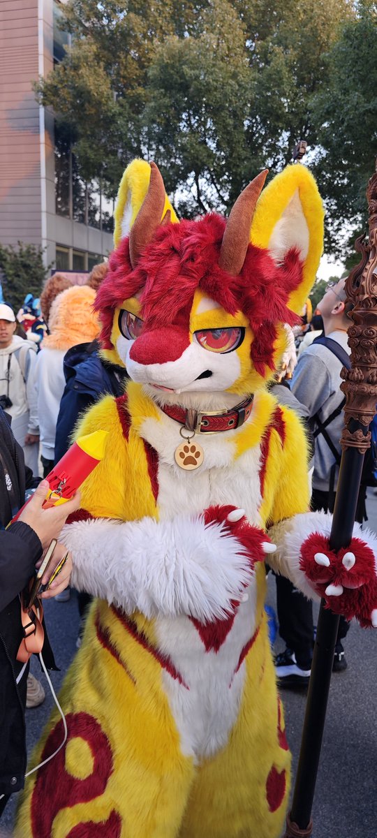 你瞅啥？
（项圈~哎嘿嘿嘿嘿~）