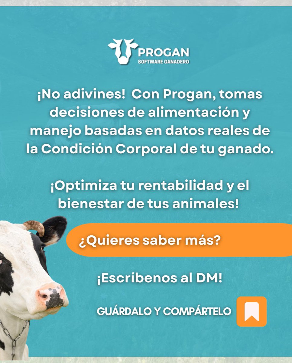 ProganSoftware's tweet image. ¿Sabes si tus vacas están en la condición corporal ideal? 🤔 La CCC es clave para salud, reproducción y leche. Con Progan, registra y sigue la CCC (escala 1-9) fácilmente. ¡Decisiones inteligentes para tu ganado! 🐄

#Progan #SoftwareGanadero #8May #FelizJueves #Papa #Colombia