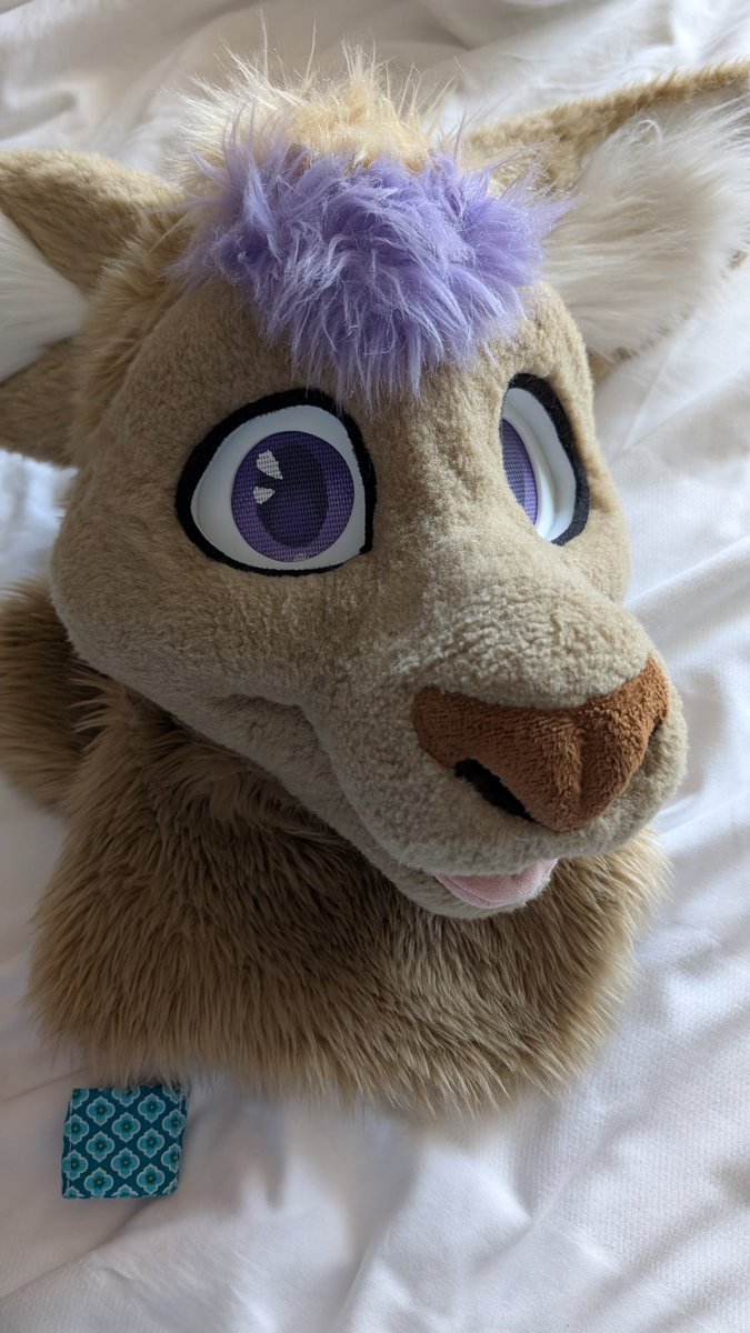 BandaidRoo's tweet image. Rip my main blue and yellow star muzzle bandaid. 2016 - 2025 🩹 it served me well. 🫡 #FWA2025
