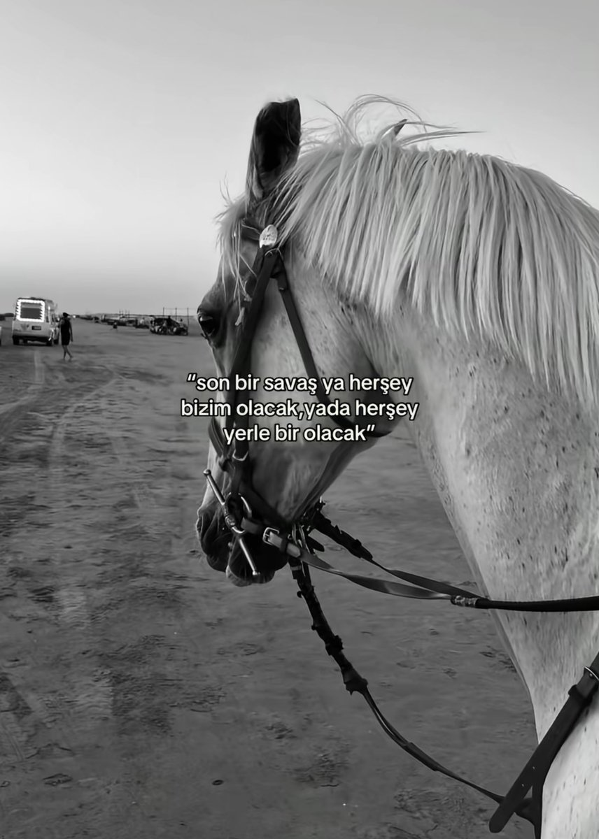 “Son bir savaş ya her şey bizim olacak, ya da her şey yerle bir olacak.”