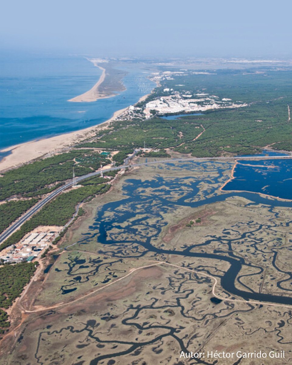 🌿 Aprobado el Plan de Ordenación de los Recursos Naturales de la Reserva Natural Laguna de El Portil y varios parajes naturales del litoral onubense, clave para la conservación de hábitats y biodiversidad en #Andalucía 🐚🦢

📄 lajunta.es/5lose  #Biodiversidad #Huelva