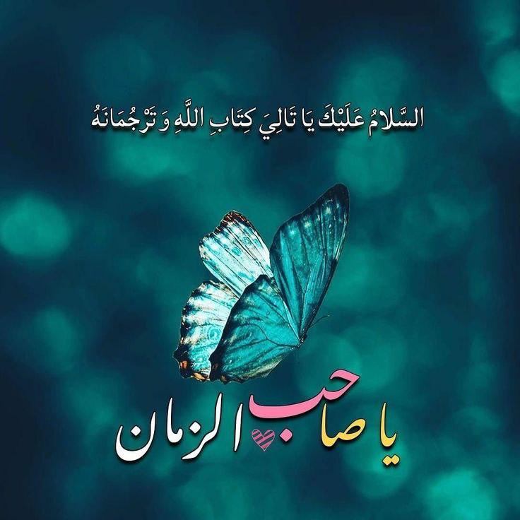 محمدية الهوى 💛💚 tweet media