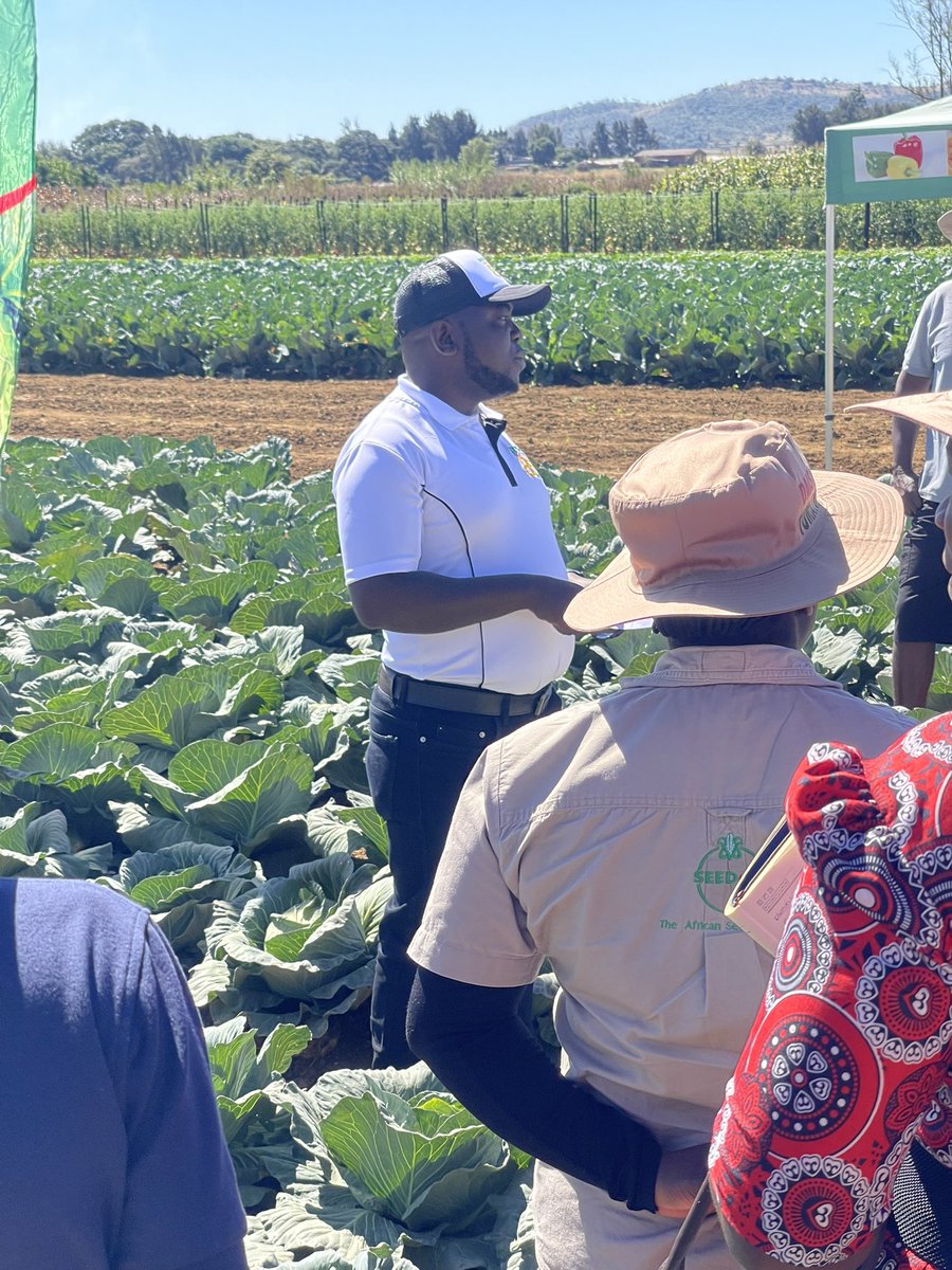 Dior Pote tweet media