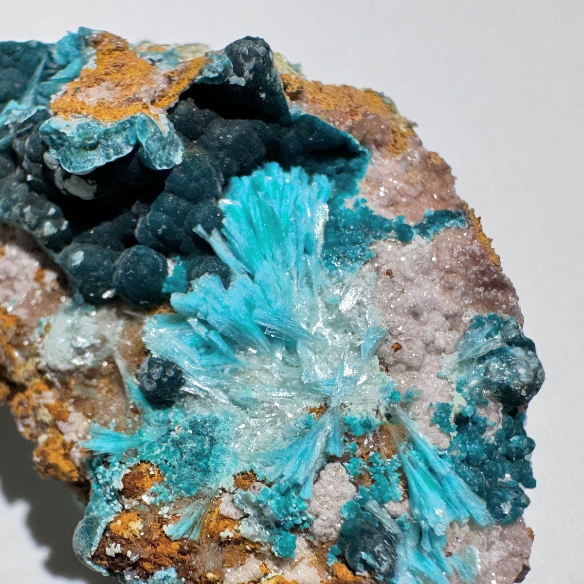 exoticcrystals's tweet photo. ❄️Stunning Vibrant Aurichalcite with Rosasite from Apex Mine, Washington Co., Utah⚜️ #aurichalcite https://t.co/C5tfZ631g6