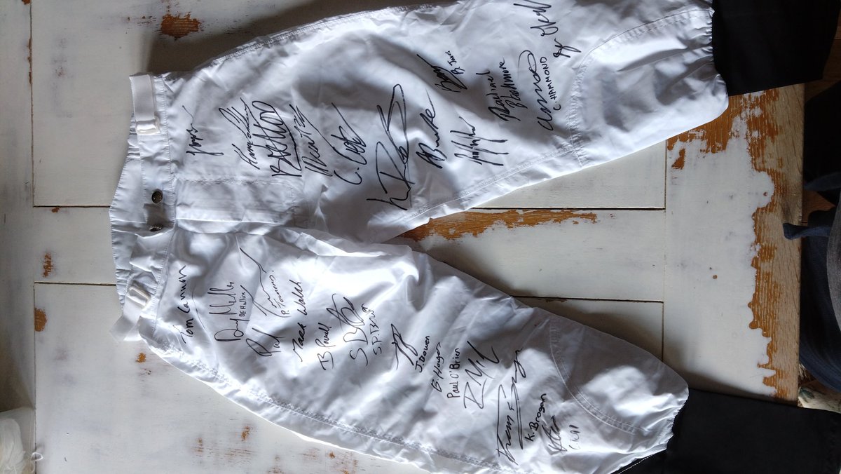 AlexJames_97's tweet image. For the @CardiffCityFC all stars charity match, another auction Money cant buy prize an Owners &amp;amp; Trainers experience with @CWilliamsRacing hosted by @acuthbert11 for 4 people be an owner for the day, morning on the gallops watching the horses work at the Welsh Trainers Yard and 4…