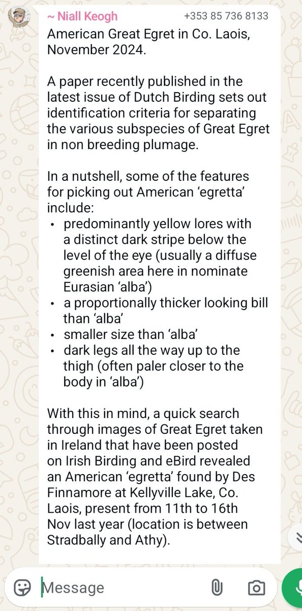 Wow! Raging that I backed out of my decision to see this as a normal Great White Egret. Maybe the bird is still in the country 🤔