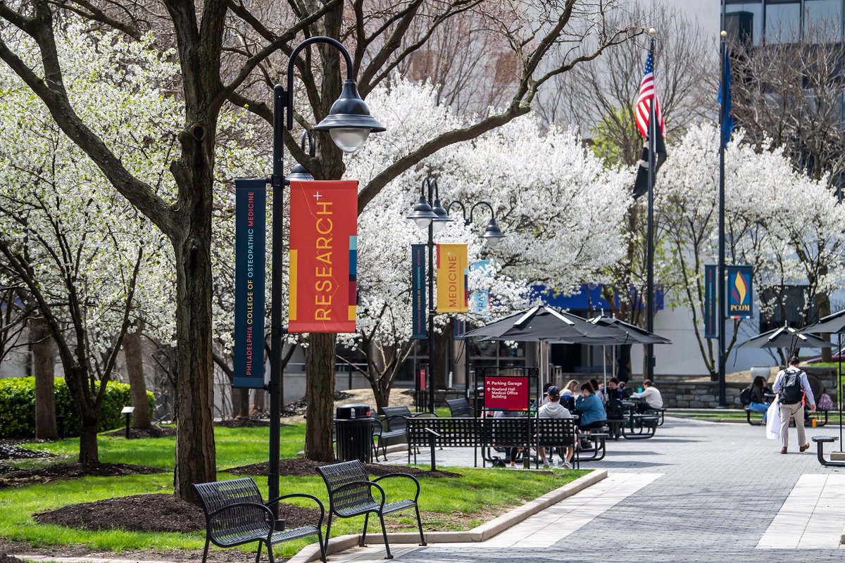 ✨FEATURED JOBS✨
Shape the future of medicine with Philadelphia College of Osteopathic Medicine as a faculty member in one of many medical fields.

Check them out at hejobs.co/42MMd6D

#job #medicine #ad #faculty #highered