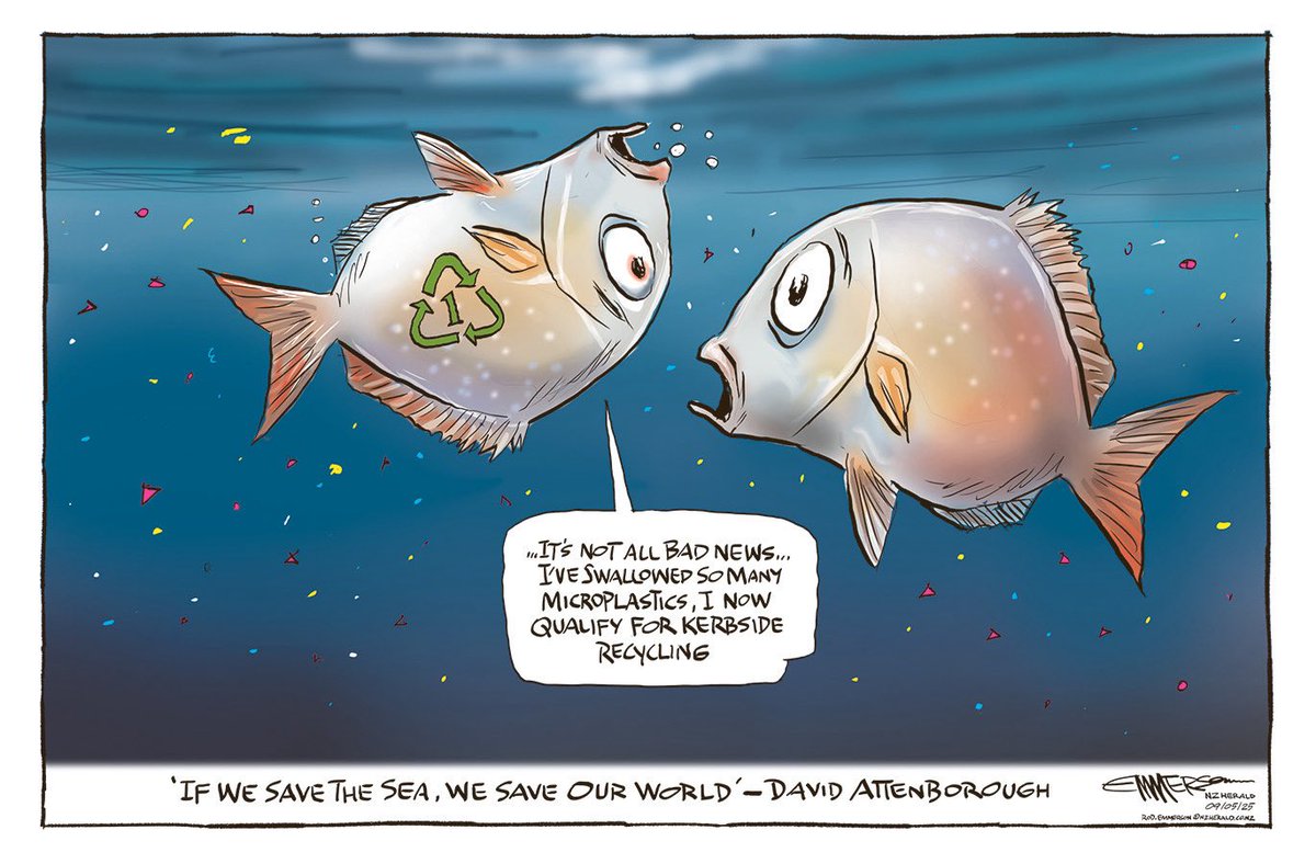 In today’s NZ Herald #nzpol