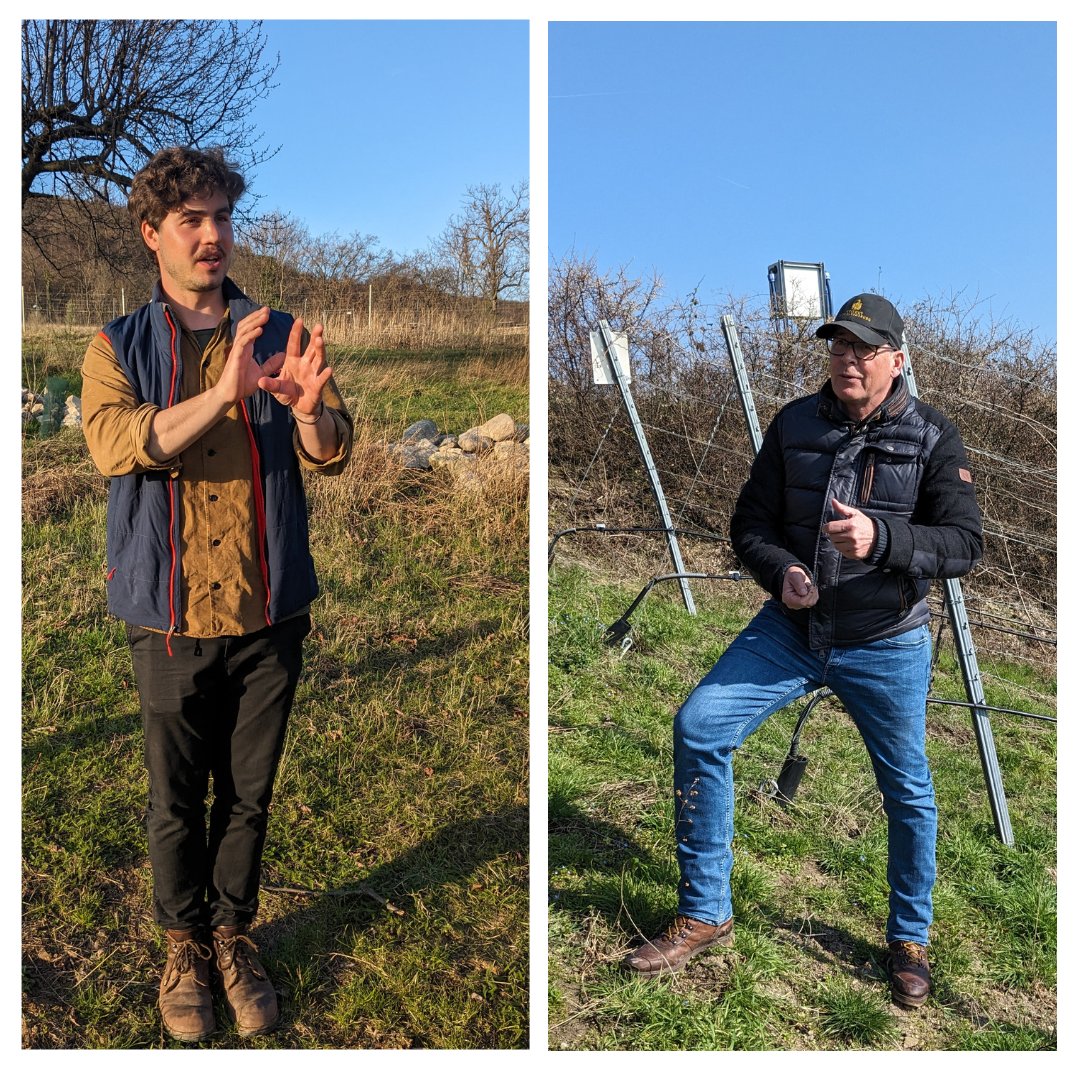 vwe_veritablewinesestates tweet media