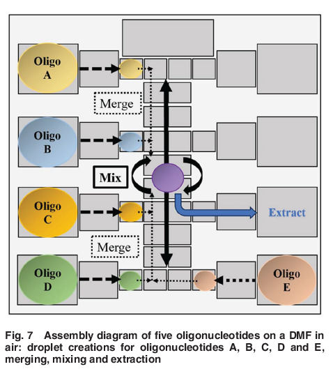 ASMEJournals's tweet image. Digital #microfluidics automation of oligonucleotide assemblies. asmedigitalcollection.asme.org/micronanomanuf…
#electrophoresis #temperature