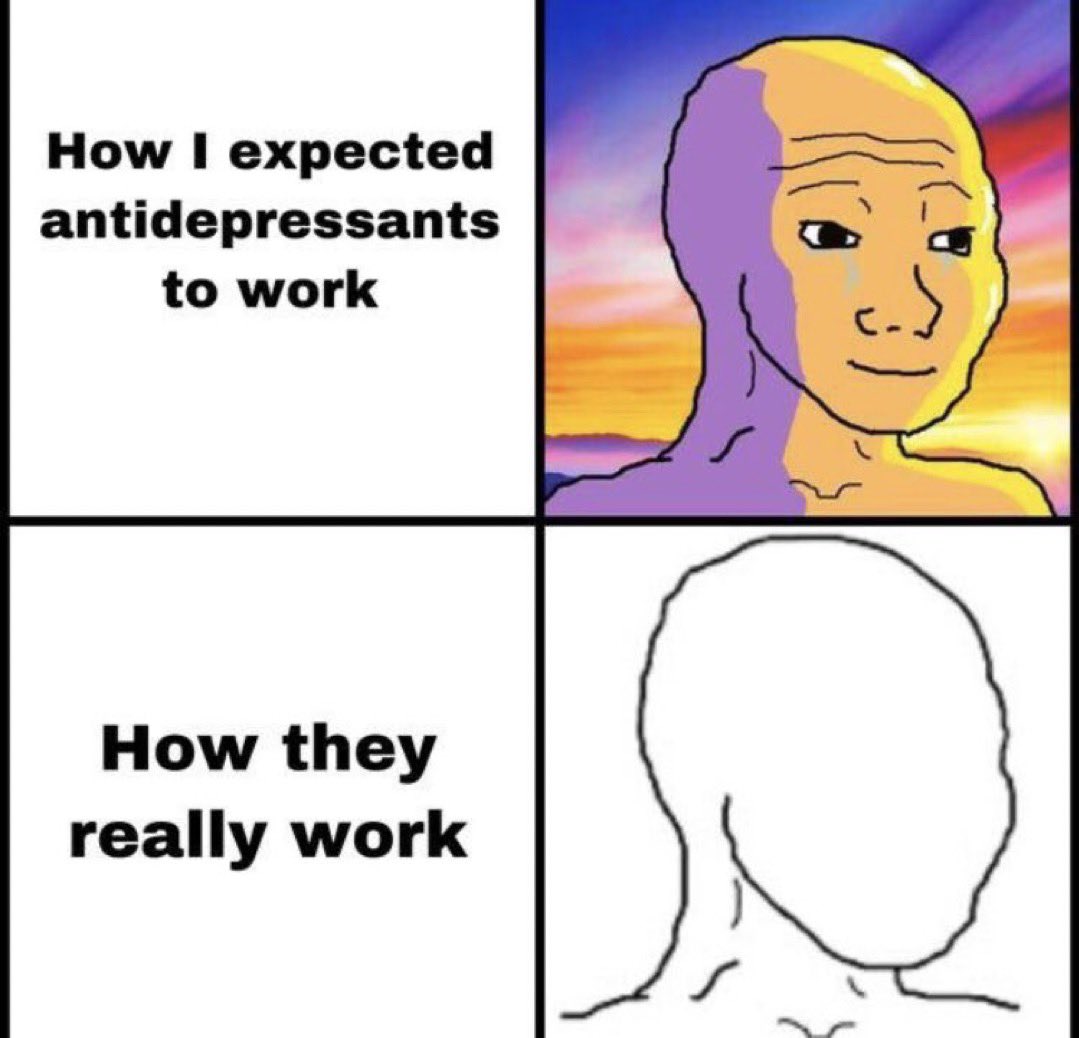chaotic memes (@memechaotic) on Twitter photo 