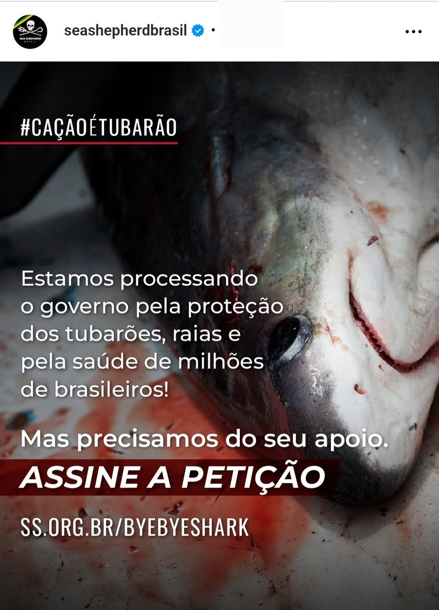Tubarão é perigoso? Sim, no seu prato. #CAÇÃOÉTUBARÃO 🦈

*Cidadãos Brasileiros.
Assine agora e ajude a proteger os tubarões, as raias e a saúde de milhões de brasileiros! 🦈 #shark 
✍️ seashepherd.org.br/peticao-caca... 
 
📷 Sea Shepherd Brasil
