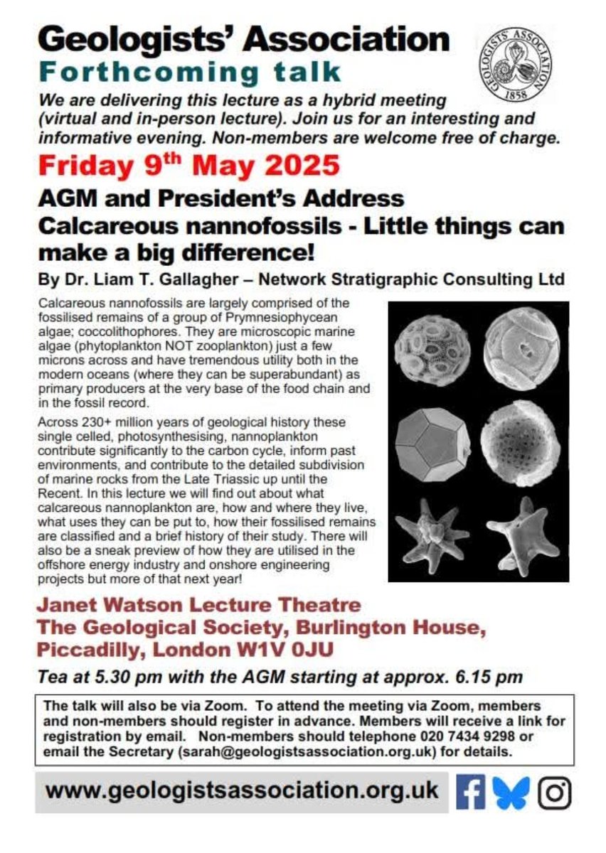 The PalAss (@thepalass) on Twitter photo ⚠️ The nice opportunity to join on-line and learn more about calcareous nanofossils ⬇️
Non-members welcome: to register email: sarah@geologistsassociation.org.uk
#geology #geologyrocks #fossils ⚠️ The nice opportunity to join on-line and learn more about calcareous nanofossils ⬇️
Non-members welcome: to register email: sarah@geologistsassociation.org.uk
#geology #geologyrocks #fossils