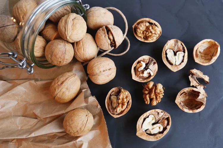 WellnessWayLife's tweet photo. Eating a handful of walnuts daily can boost brain power, support heart health, improve sleep, and even help lower cancer risk. Packed with omega-3s, fiber, protein, and melatonin—these mighty nuts are a small snack with big benefits. 🌰🧠💤❤️ #HealthyEating #WalnutBenefits https://t.co/RNVD8bnnPO