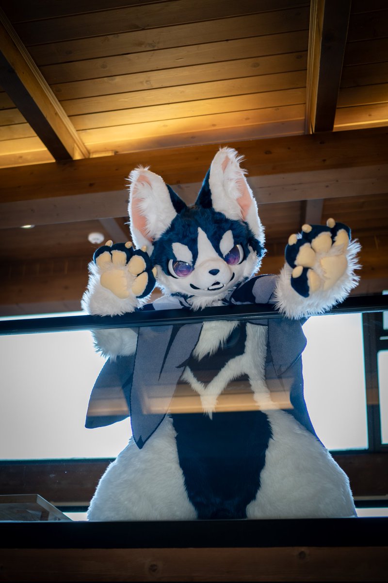 🐾~

#FursuitFriday