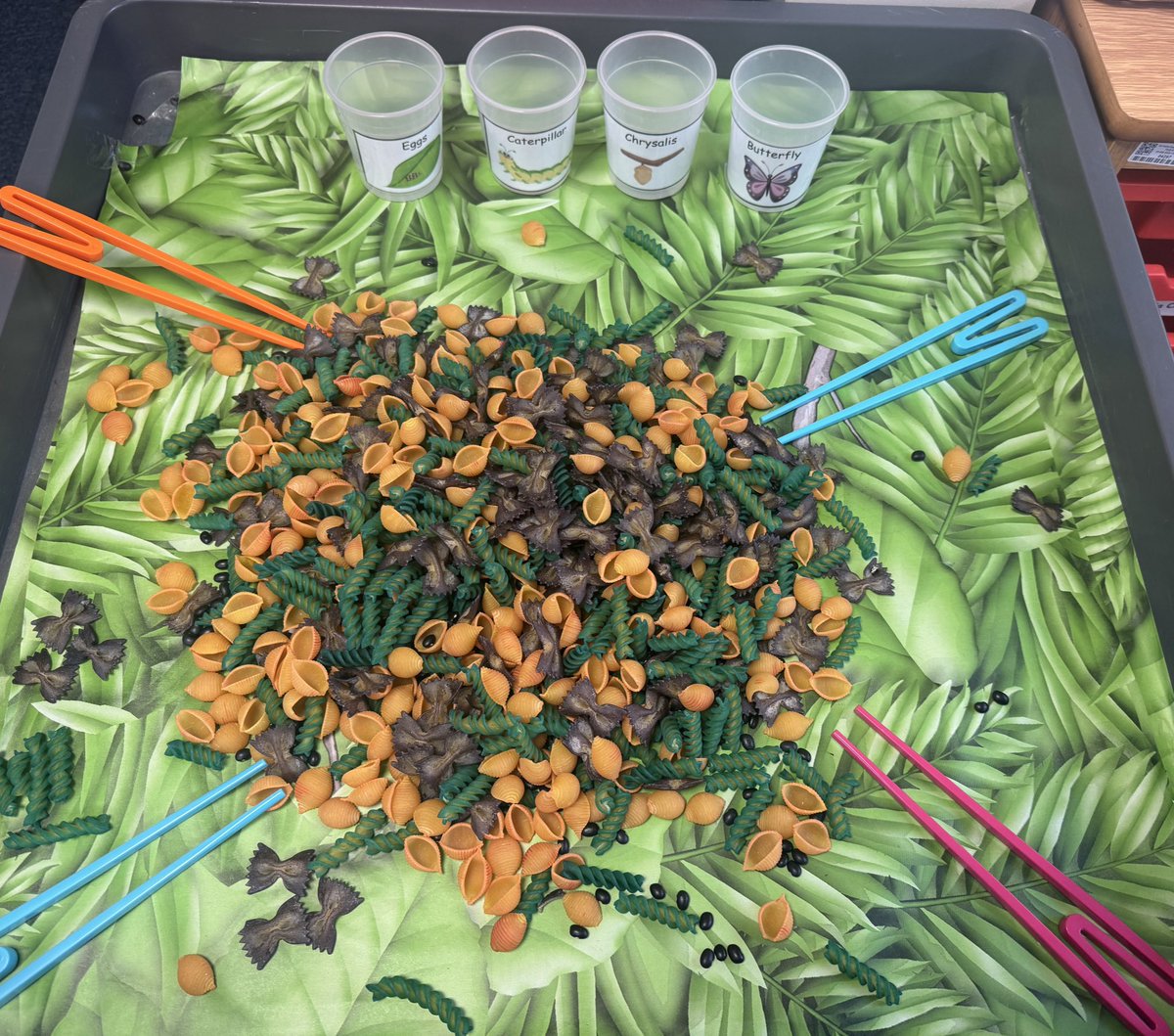 EYFS have loved reading The Very Hungry Caterpillar! Now they are exploring the butterfly life cycle🐛🦋. 

Using their fine motor and maths skills, the children are sorting and sequencing each stage of the cycle. 

<a href="/AdAstraTrust/">Ad Astra Academy Trust</a>
