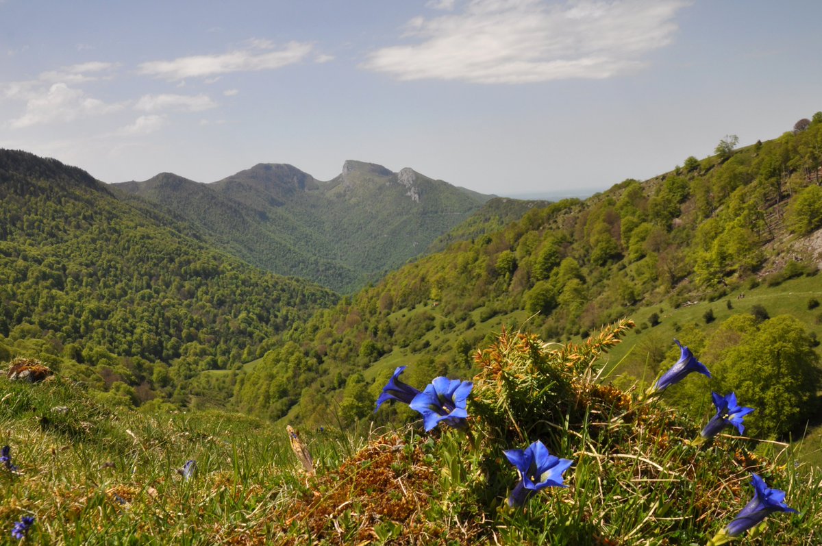 Randonnées Pyrénées tweet media