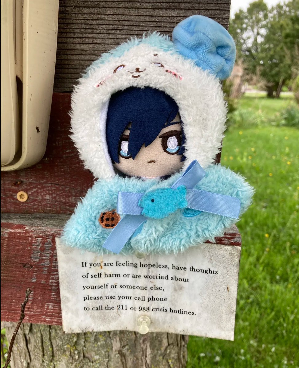 tapppycat (@tapppycat) on Twitter photo 