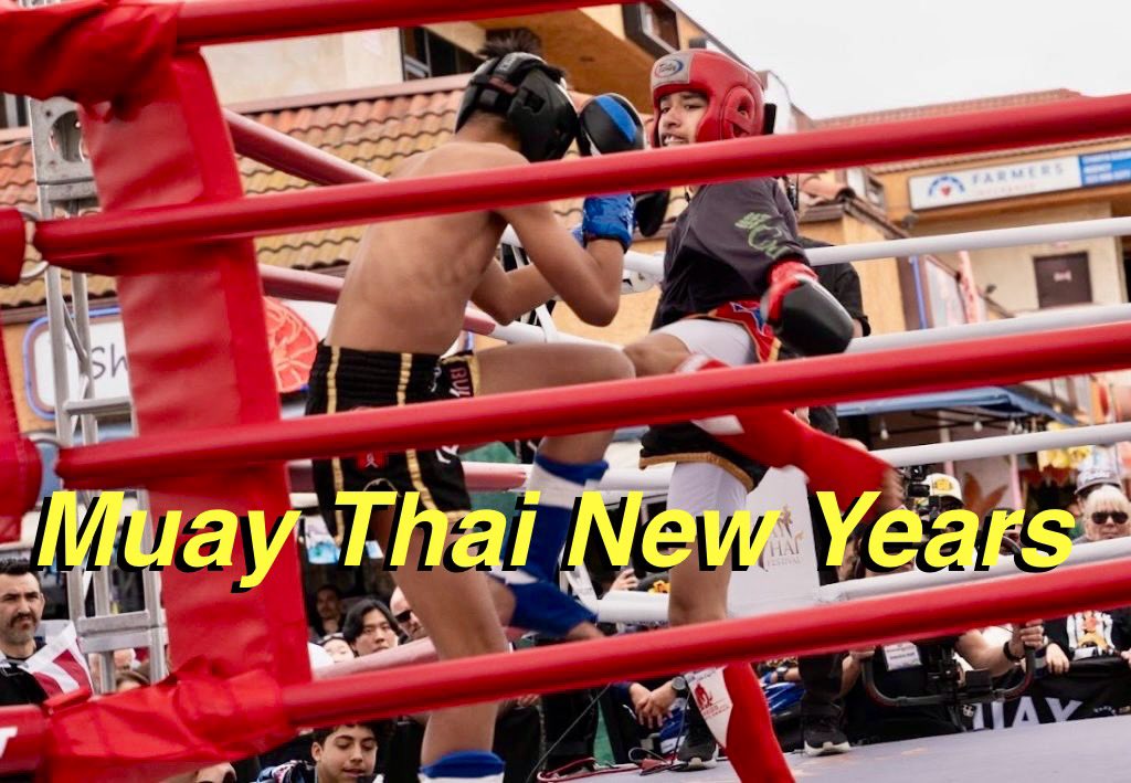 Sports Tai Chi Push Hands - Coach Jan Lucanus tweet media