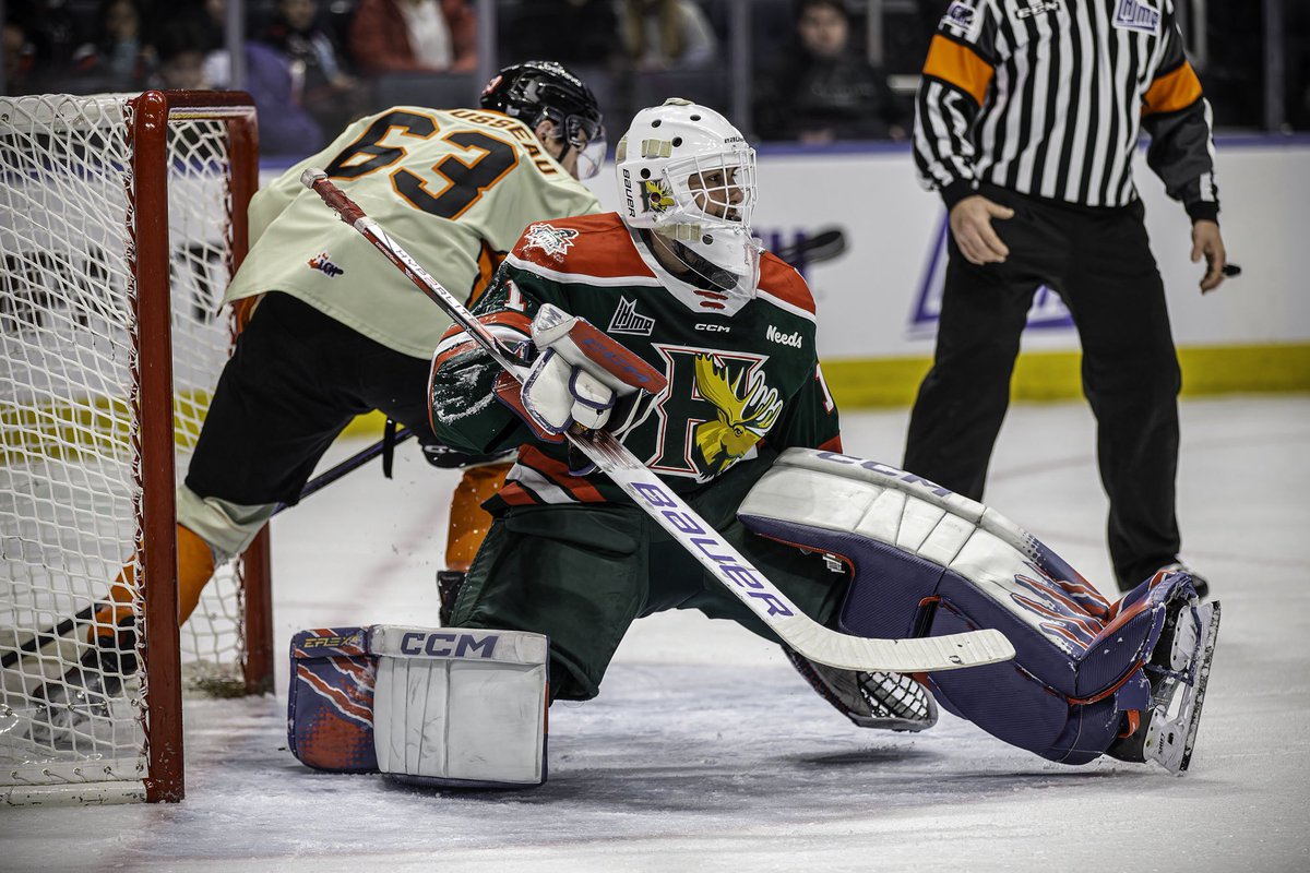 BGSUHKY's tweet photo. Congratulations to our Canadian Hockey League All-Stars!!! Jacob Steinman (QMJHL, 1st) ⏩️ Ty Higgins (QMJHL, 2nd) ⏩️ Mazden Leslie (WHL, 1st) 😤 https://t.co/pzf3Y0nz3e
