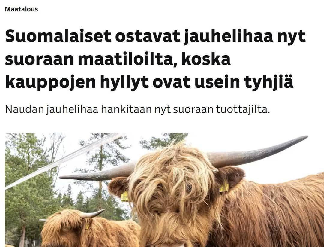 Aki Nummelin (@aki_nummelin) on Twitter photo 