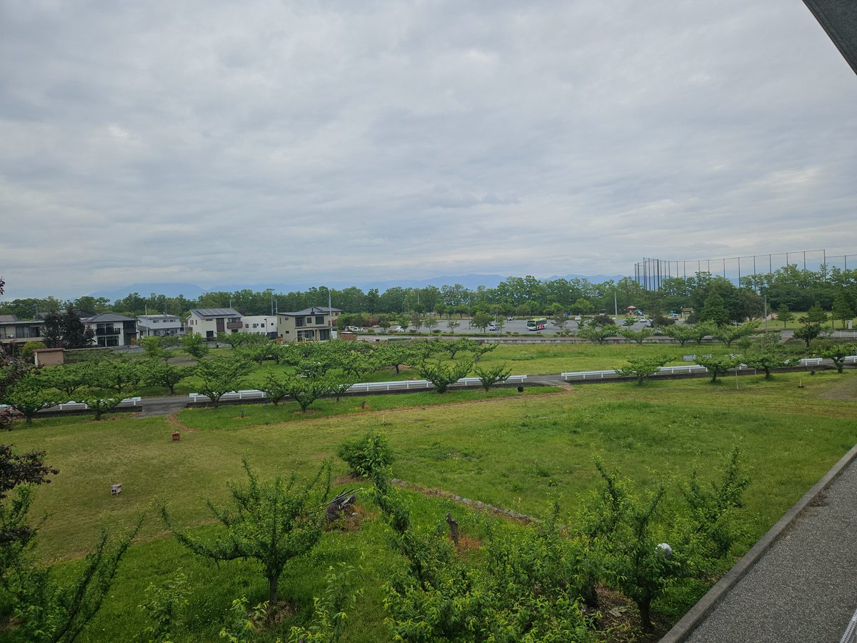 南アルプス市
朝の風景は……

曇り後雨☔予報

昨夜は無尽仲間と飲み会🍻
皆、言いたい放題❕🎶
楽しく、飲み過ぎ‼️🙂
朝寝坊‼️😭

ドジャース対Dバックス戦
10時40分
山本由伸先発、防御率1位❗
大谷翔平の援護弾期待‼️🙂

トライアル経由、田富へ
開始から観たい❕🎶🎵