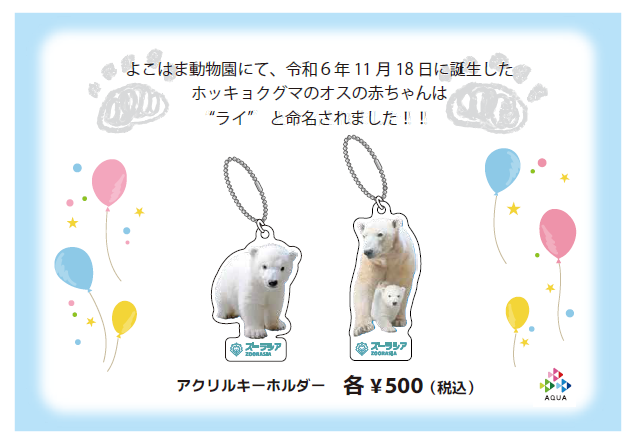 お待たせしました！ 5月14日から公開予定のホッキョクグマの赤ちゃん
