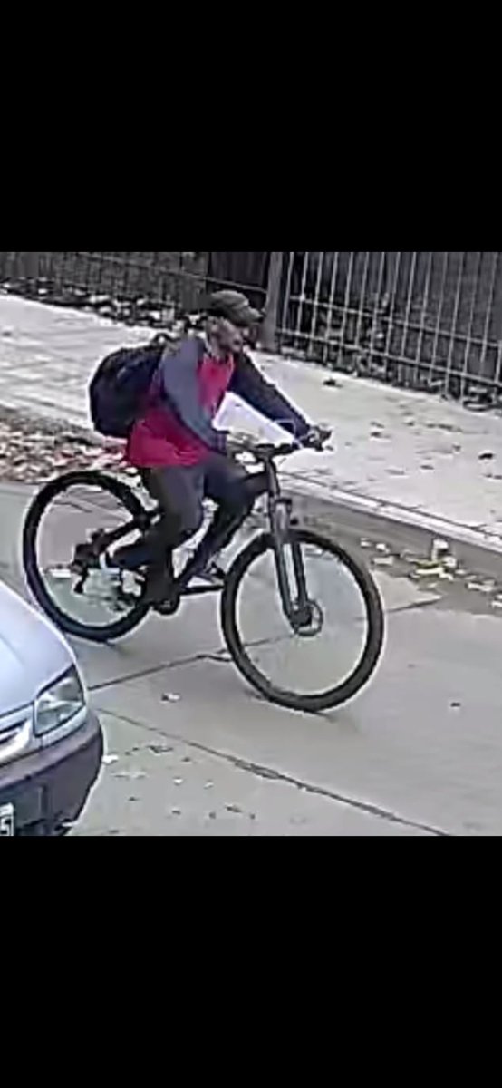 alma cam tweet media