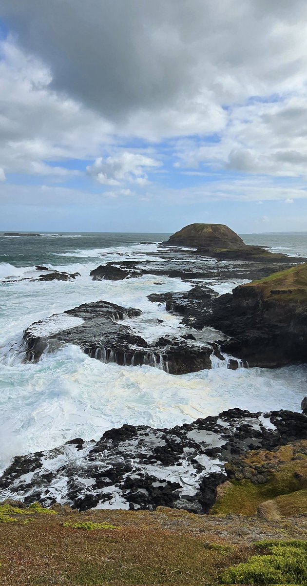 Seal Rocks at the Western end of Phillip Island (nr Melbourne) were once the home of 20,000 Australian fur seals. 
Hunters slaughtered all but around 100 before it became a protected species. 
Now, there are more than 30,000.