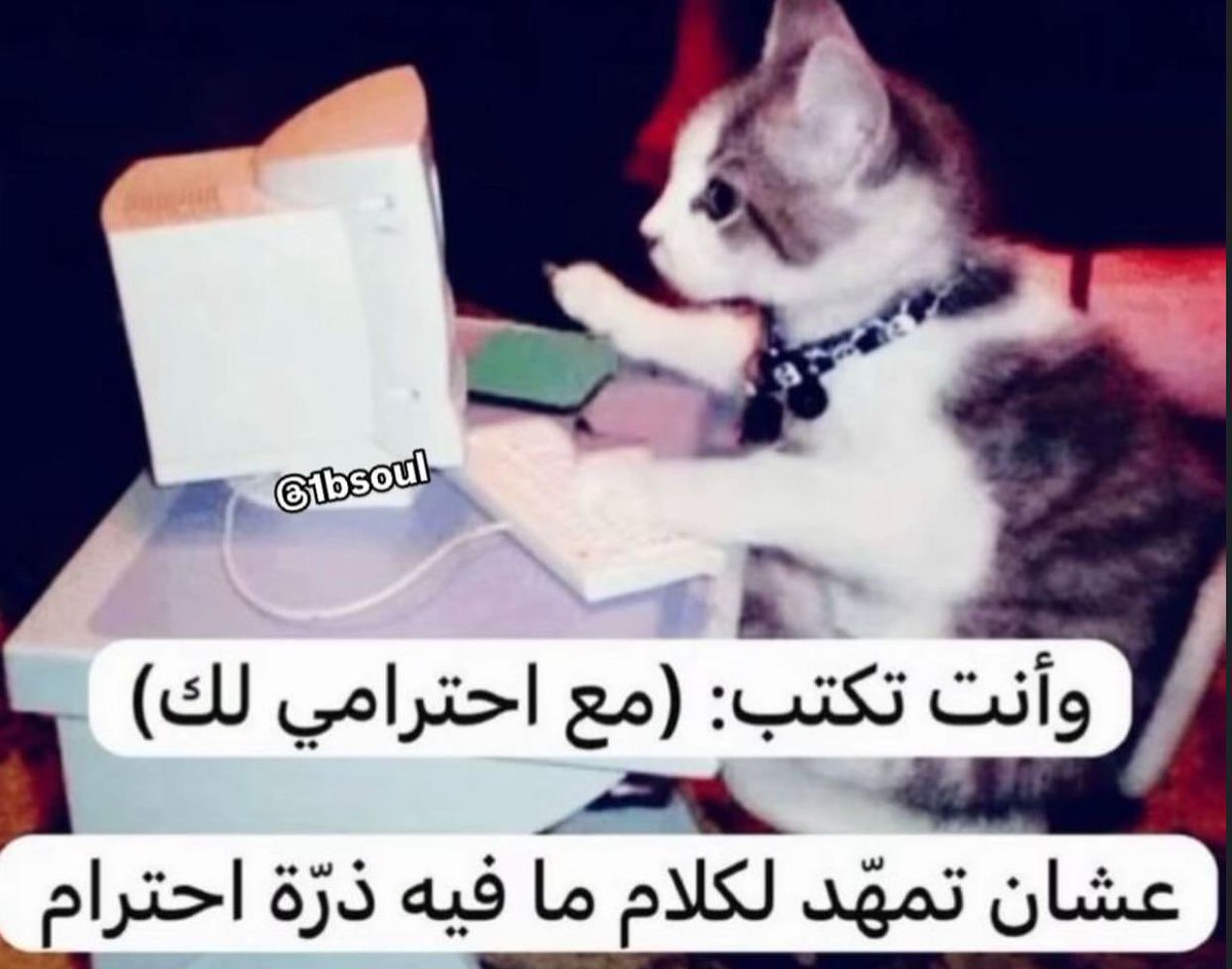 itsmoayed's tweet photo. @0Evie_ https://t.co/S7wlYS1meq