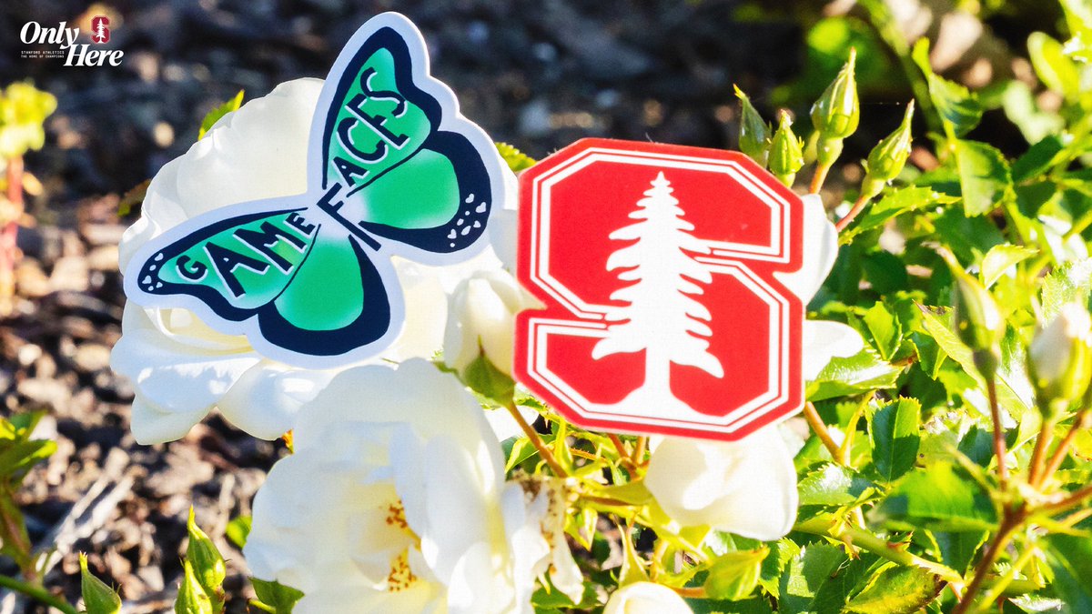 Stanford Women's Volleyball (@stanfordwvb) on Twitter photo 8th annual <a href="/GoStanford/">Stanford Cardinal π²π€</a> GameFACES ππ¦
Charity McDowell served as an emcee on Tuesday night π€ Since 2017, the program gives student-athletes a platform to speak openly about mental health & their journeys inspire others to do the same.
#GoStanford x #MentalHealthAwarenessMonth 8th annual <a href="/GoStanford/">Stanford Cardinal π²π€</a> GameFACES ππ¦
Charity McDowell served as an emcee on Tuesday night π€ Since 2017, the program gives student-athletes a platform to speak openly about mental health & their journeys inspire others to do the same.
#GoStanford x #MentalHealthAwarenessMonth