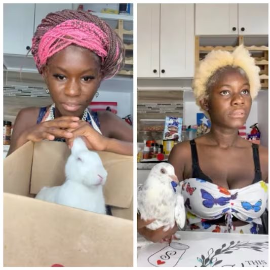 Andy Ngo tweet media