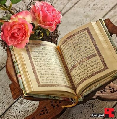 د جمعي مبارکه ورځ ده ❤
درود مه هیروي

الهم صلی وسلم علی نبینا محمد 💝

سورت کهف هم مه هیروي