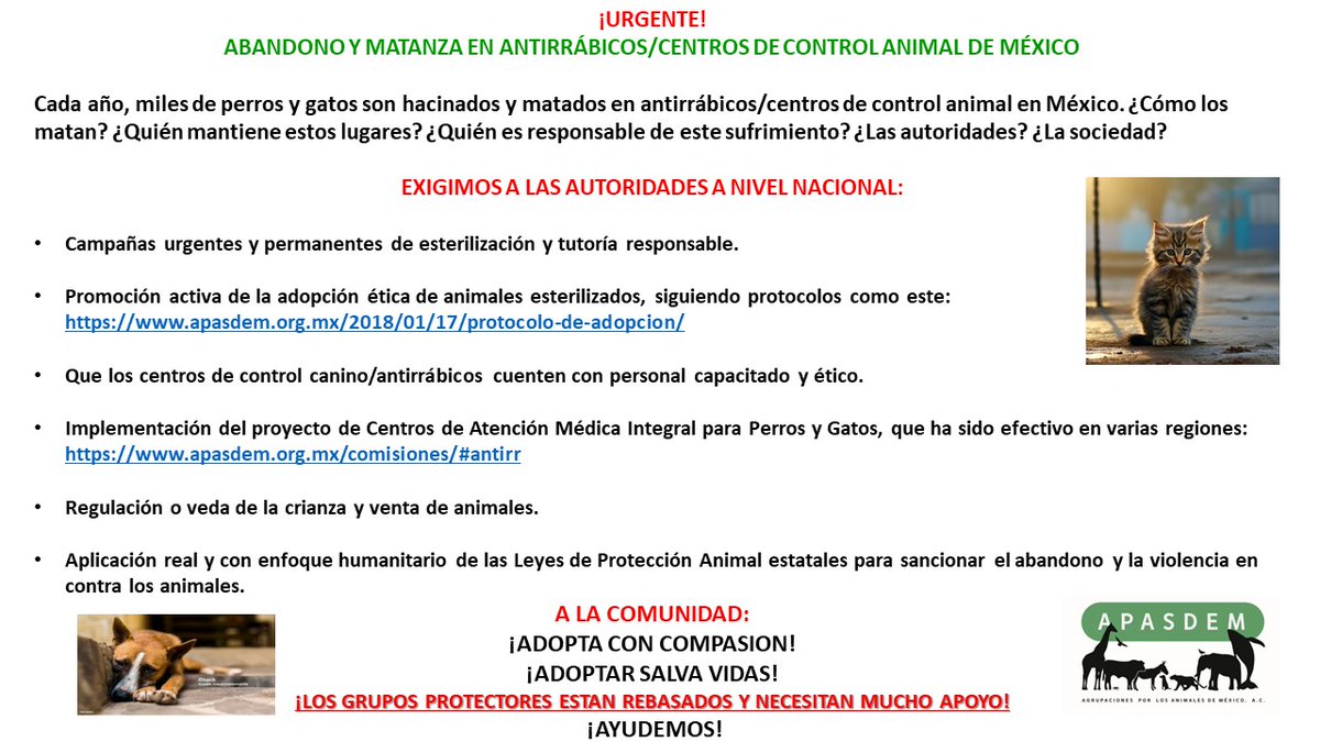 APASDEM, A.C. (@apasdem) on Twitter photo #Hilo ¡URGENTE! ABANDONO DE PERROS Y GATOS Y MATANZA EN ANTIRRÁBICOS/CENTROS DE CONTROL ANIMAL DE MEXICO
apasdem.org.mx/2018/01/17/pro…
apasdem.org.mx/comisiones/#an…
<a href="/Claudiashein/">Claudia Sheinbaum Pardo</a> <a href="/SSalud_mx/">SALUD México</a> Dr. David Kershenobich Stalnikowitz <a href="/SEMARNAT_mx/">SEMARNAT México</a> <a href="/aliciabarcena/">Alicia Bárcena</a>
<a href="/senadomexicano/">Senado de México</a> <a href="/Mx_Diputados/">H. Cámara de Diputados</a> #Hilo ¡URGENTE! ABANDONO DE PERROS Y GATOS Y MATANZA EN ANTIRRÁBICOS/CENTROS DE CONTROL ANIMAL DE MEXICO
apasdem.org.mx/2018/01/17/pro…
apasdem.org.mx/comisiones/#an…
<a href="/Claudiashein/">Claudia Sheinbaum Pardo</a> <a href="/SSalud_mx/">SALUD México</a> Dr. David Kershenobich Stalnikowitz <a href="/SEMARNAT_mx/">SEMARNAT México</a> <a href="/aliciabarcena/">Alicia Bárcena</a>
<a href="/senadomexicano/">Senado de México</a> <a href="/Mx_Diputados/">H. Cámara de Diputados</a>