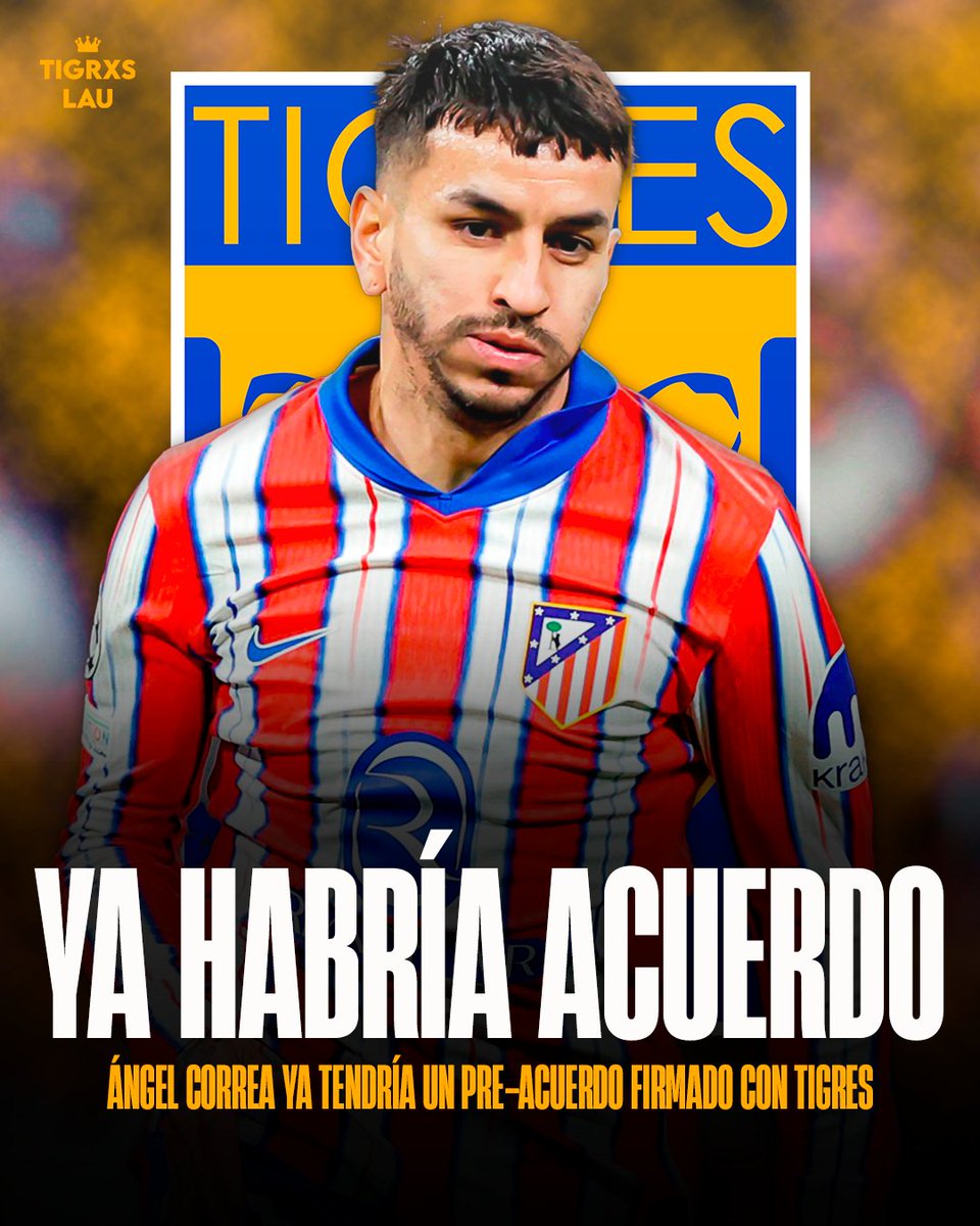 Absolute Tigres tweet media