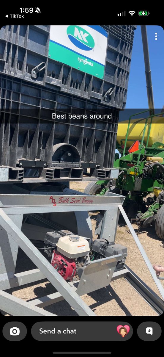 The people have spoken, and I agree. <a href="/NKSeeds/">NK Seeds</a> are the “best beans around” !!

#PlantNK25