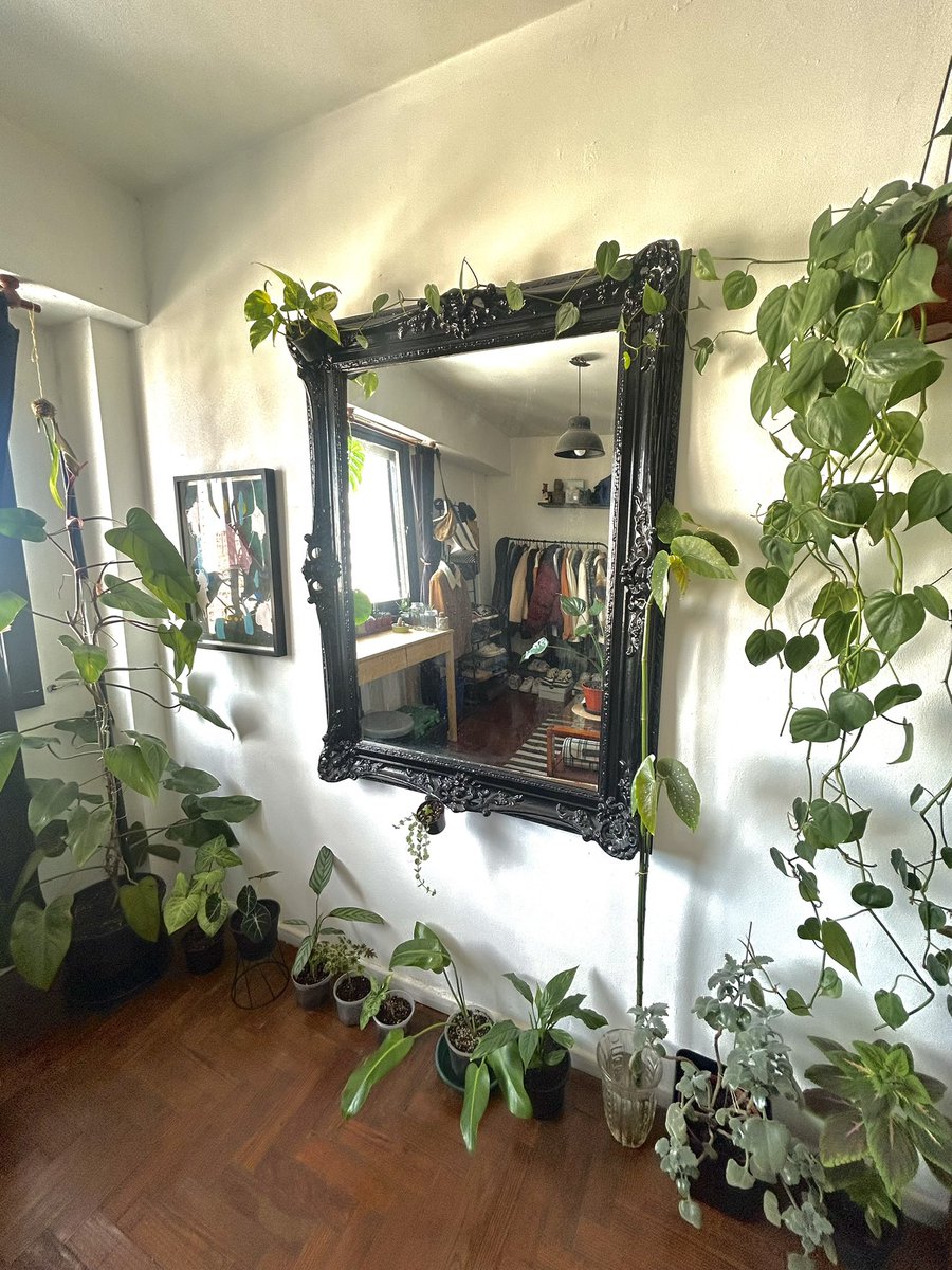 Tengan plantas putos